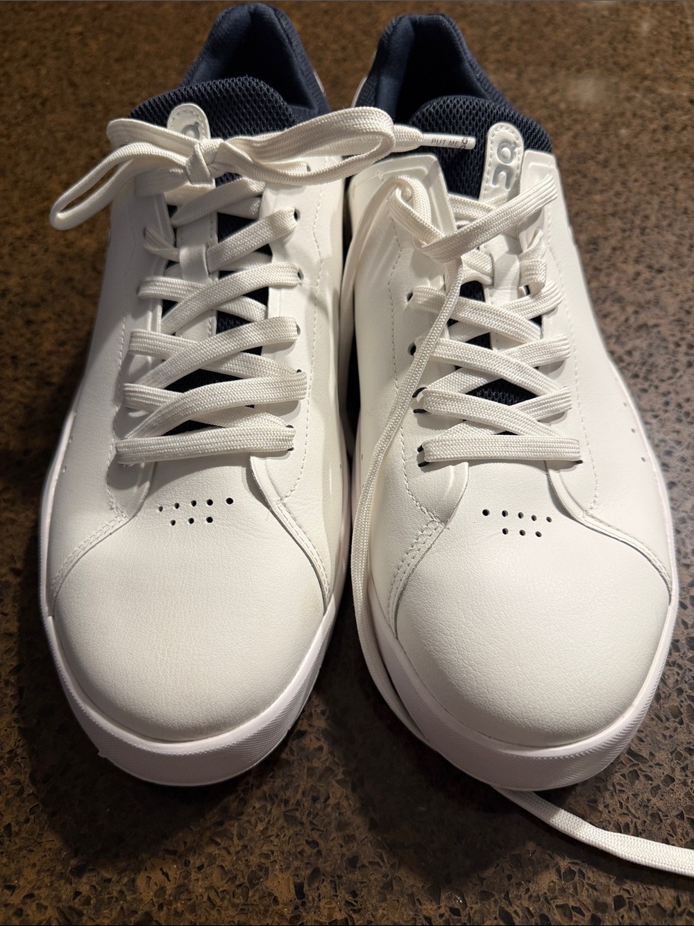 NWOB The Roger Advantage Tennis Shoes